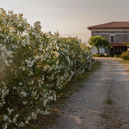 Vila Agri Charme Tenuta Picilli Albanella Exteriér fotografie